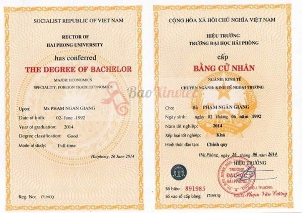 Những Ưu Điểm Khi Làm Bằng Đại Học Tại Hải Phòng Với Bao Xin Việc