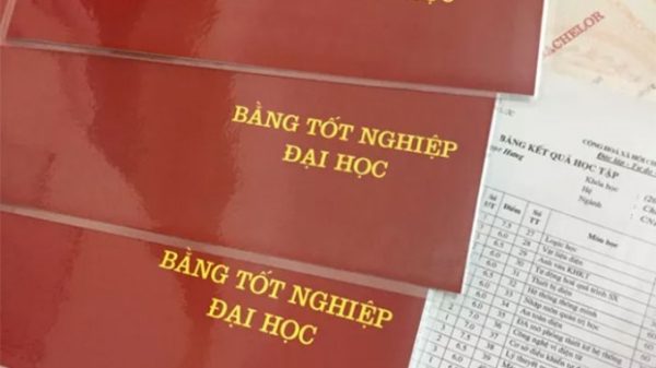 Mua Bằng Đại Học Tôn Đức Thắng Uy Tín Tại Bao Xin Việc