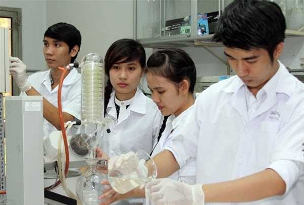 Chuyên Dịch Vụ Mua Bằng Đại Học Dược Chất Lượng Uy Tín