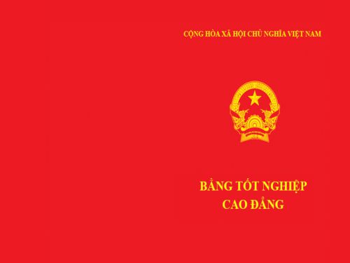 Mua Bằng Cao Đẳng Giá Rẻ Cả Nước - Bảo Hành Trọn Đời