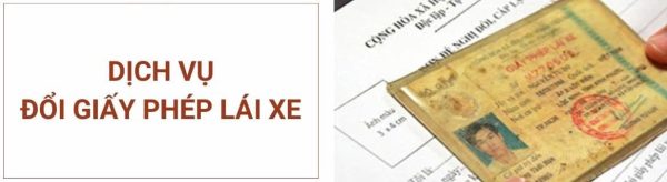 Thủ Tục Đổi Giấy Phép Lái Xe A1 Online